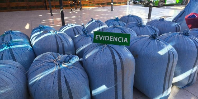 Carabineros incauta hojas de coca, cigarrillos, medicamentos y más de 72 mil huevos en operativo policial