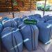 Carabineros incauta hojas de coca, cigarrillos, medicamentos y más de 72 mil huevos en operativo policial