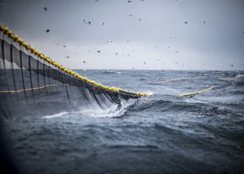 El Niño: cautos, no pasivos