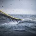 El Niño: cautos, no pasivos