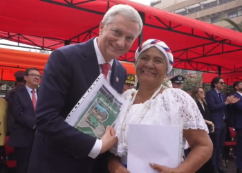 CORE Arica y Parinacota aprueba por unanimidad el nuevo nombre de la «Comisión Pueblo Tribal Afrodescendiente Chileno»