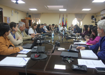 CORE abordó situación de salud mental en niños, niñas y jóvenes de Arica y Parinacota