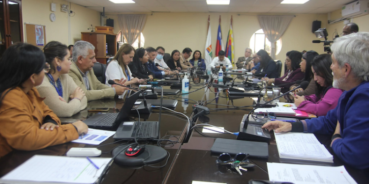 CORE abordó situación de salud mental en niños, niñas y jóvenes de Arica y Parinacota