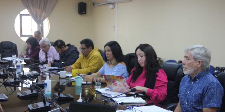 Comisión de Salud del CORE analizó proyectos que postulan a financiamiento FNDR