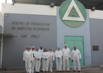 Core en Centro de Producción de Insectos Estériles del SAG evalúa proyecto de fortalecimiento científico que alcanza a $4 mil millones