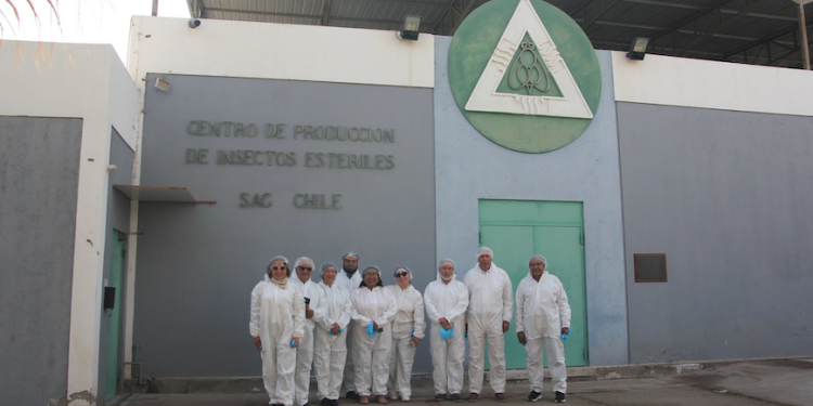 Core en Centro de Producción de Insectos Estériles del SAG evalúa proyecto de fortalecimiento científico que alcanza a $4 mil millones