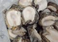 Costos de la pesca ilegal