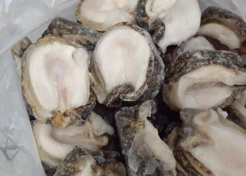 Costos de la pesca ilegal