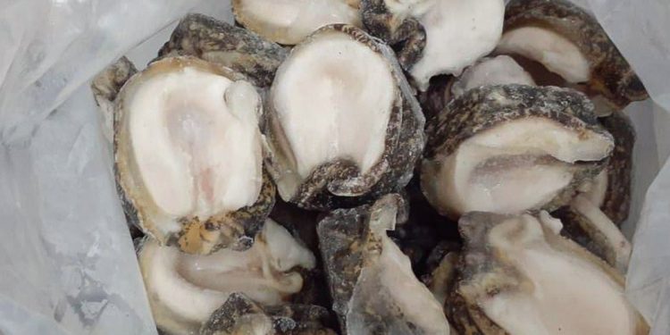 Costos de la pesca ilegal
