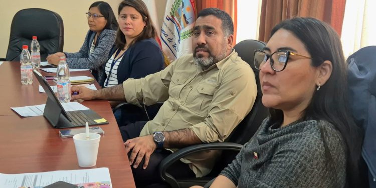 Bienes Nacionales compromete acelerar proyectos clave para Municipio de Pozo Almonte