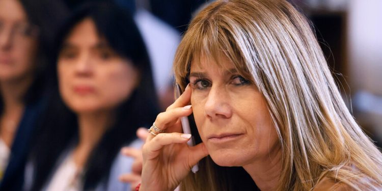 «Ordenemos las cuentas»: Los detalles del proyecto de Rincón para evitar alzas en las cuentas de la luz