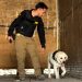 PDI detuvo a dos extranjeros por tráfico de drogas en Complejo Fronterizo Chacalluta tras alertas de ejemplar canino