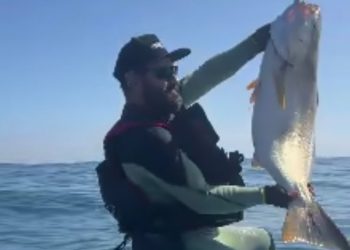 Deportista capturó corvina de 18 kilos y más de un metro en Caleta San Marcos