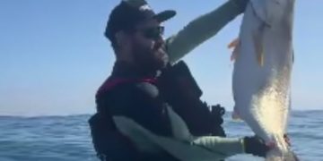 Deportista capturó corvina de 18 kilos y más de un metro en Caleta San Marcos