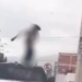 Colombiano saltaba desnudo sobre camioneta provocando daños y desórdenes en Cavancha / Había sido expulsado y reingresó al país