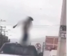 Colombiano saltaba desnudo sobre camioneta provocando daños y desórdenes en Cavancha / Había sido expulsado y reingresó al país