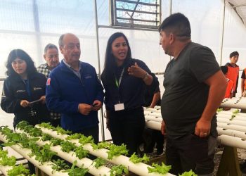 Vecinos del borde costero avanzan en proyecto de hidroponía con agua de mar