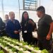 Vecinos del borde costero avanzan en proyecto de hidroponía con agua de mar