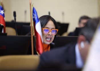Ximena Naranjo lidera la actividad legislativa en Tarapacá tras sus primeros cuatro meses en la Cámara