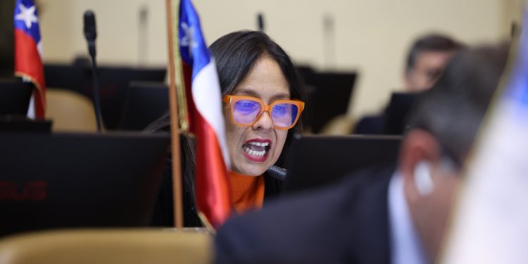 Ximena Naranjo lidera la actividad legislativa en Tarapacá tras sus primeros cuatro meses en la Cámara