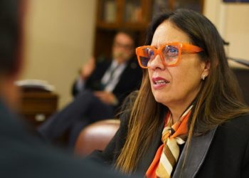 Diputada Naranjo pide urgencia a proyecto que rebaja edad de responsabilidad penal a 13 años y endurece sanciones para menores reincidentes