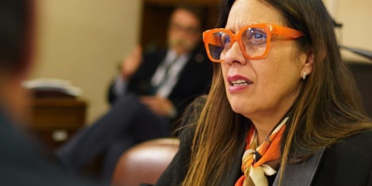 Diputada Naranjo pide urgencia a proyecto que rebaja edad de responsabilidad penal a 13 años y endurece sanciones para menores reincidentes