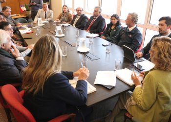 Fortalecen coordinación interinstitucional en Tarapacá para enfrentar la mosca de la fruta