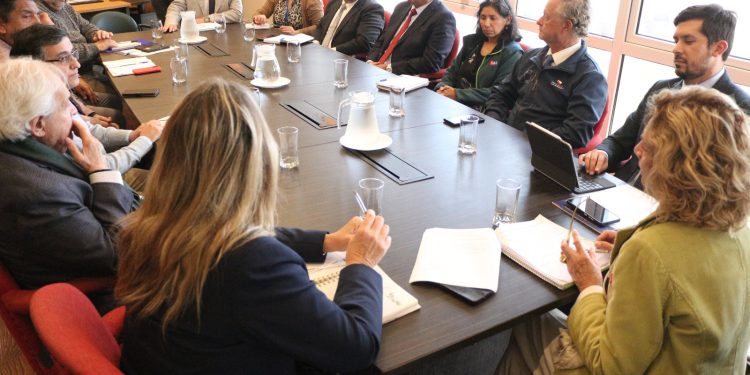 Fortalecen coordinación interinstitucional en Tarapacá para enfrentar la mosca de la fruta