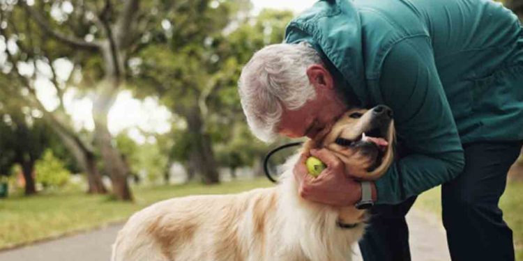 Salud humana, animal y ambiental