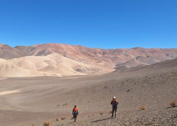 Científicos posicionan a Atacama como polo para la investigación y la formación en paleontología