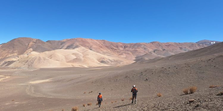 Científicos posicionan a Atacama como polo para la investigación y la formación en paleontología