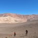 Científicos posicionan a Atacama como polo para la investigación y la formación en paleontología