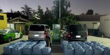 Conductores trasladaban más de una tonelada de hojas de coca