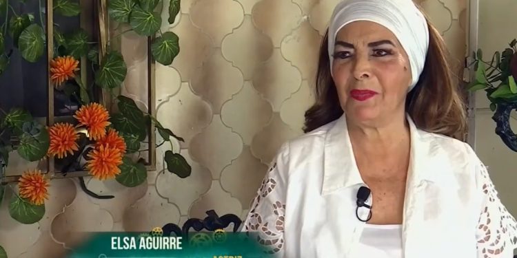 Hasta siempre, Elsa Aguirre (1930-2026)