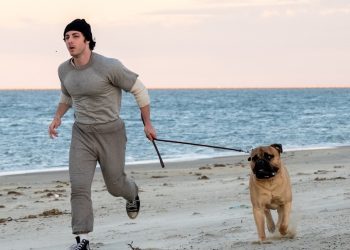 “Yo Soy Rocky” presenta su tráiler y llegará a cines de Chile en Noviembre