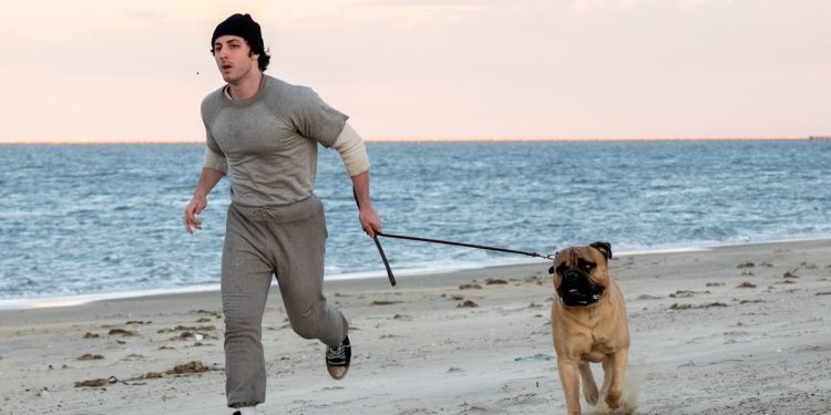 “Yo Soy Rocky” presenta su tráiler y llegará a cines de Chile en Noviembre