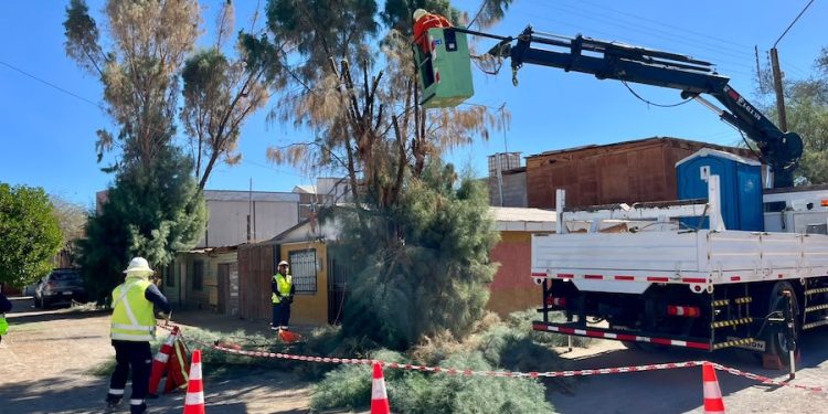CGE asegurará continuidad del servicio eléctrico durante la Fiesta de La Tirana
