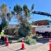 CGE asegurará continuidad del servicio eléctrico durante la Fiesta de La Tirana
