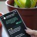 Departamento de Salud de Alto Hospicio lanzó nuevo canal de atención vía WhatsApp para facilitar el acceso a prestaciones de salud