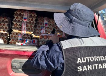 Ante aumento de brotes de Salmonella: Salud refuerza prohibición del uso de huevos crudos
