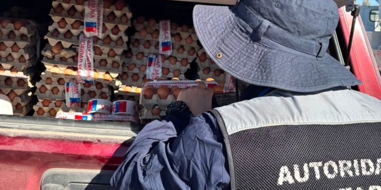 Ante aumento de brotes de Salmonella: Salud refuerza prohibición del uso de huevos crudos