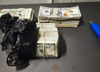Fiscalizadores del Servicio Nacional de Aduanas incautaron en Colchane US$ 170 mil dólares en camión boliviano