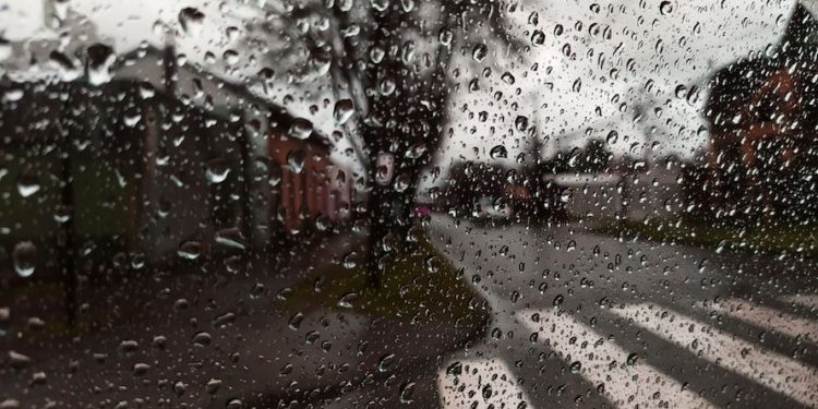 Temporal en el norte podría afectar precios y abastecimiento: Expertos explican los efectos económicos de las lluvias