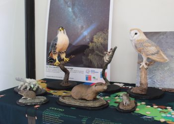 CONAF Tarapacá celebra 100 años de conservación en Chile con muestra fotográfica en Geoglifos de Pintados