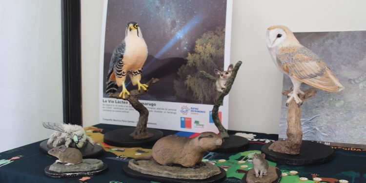 CONAF Tarapacá celebra 100 años de conservación en Chile con muestra fotográfica en Geoglifos de Pintados