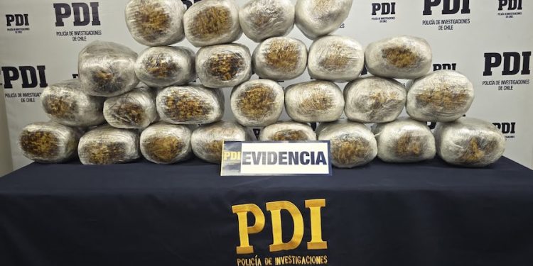 Portaban más de 28 kilos de cannabis sativa ocultos en camión de alto tonelaje