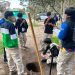 Estudiantes del Liceo Agrícola José Abelardo Núñez Murúa de Azapa fortalecen su formación con programa de alternancia en Santo Tomás