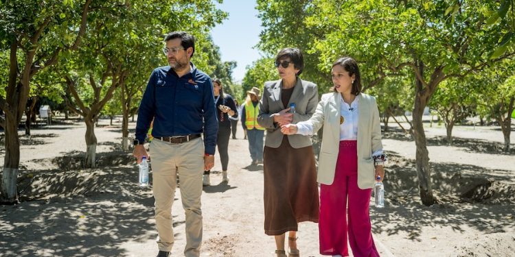 Directora del Liceo de Pica obtiene Premio LED 2026 por su liderazgo y vinculación con el entorno