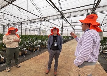 “Es importante que las regiones tengan voz para decidir qué ejes productivos quieren empujar”