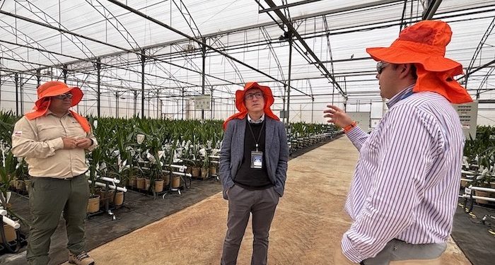 “Es importante que las regiones tengan voz para decidir qué ejes productivos quieren empujar”